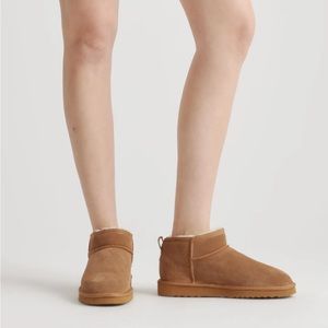 NWT Quince Australian Mini Boots